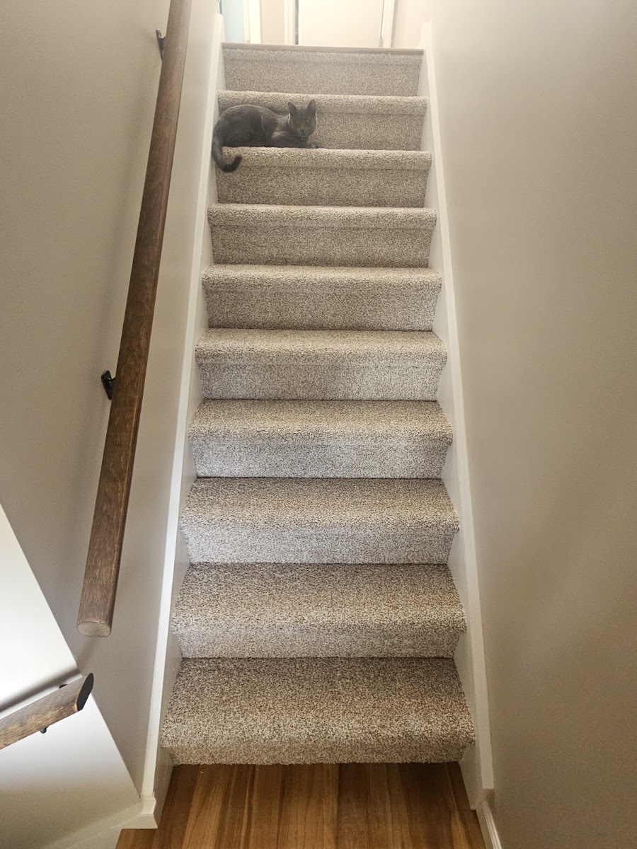 Photo 1 from Ty MD's Google review of Langan Flooring